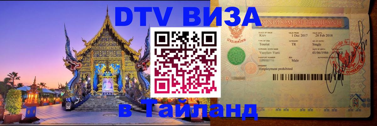 Оформление DTV визы под ключ: стоимость и тарифы, только загранпаспорт - 07.01.2026 